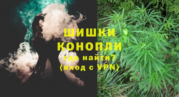 экстази Бородино