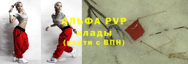 экстази Бородино