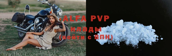 экстази Бородино