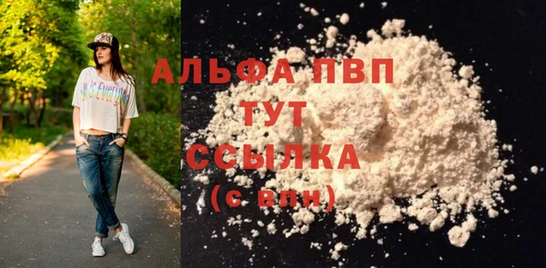экстази Бородино