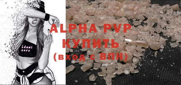 экстази Бородино