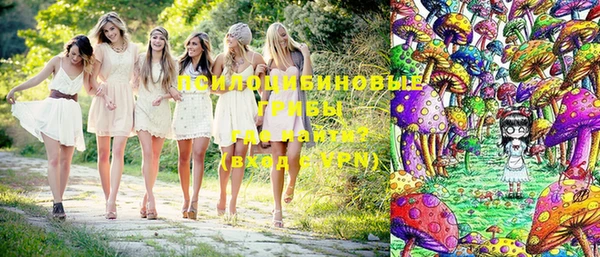 экстази Бородино