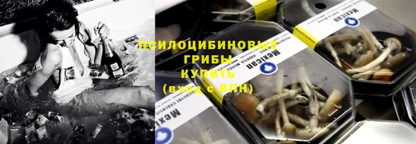 экстази Бородино