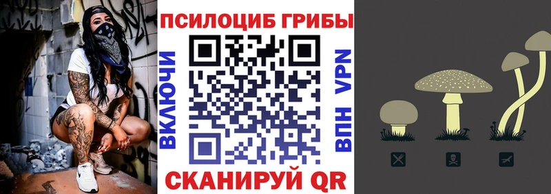 Галлюциногенные грибы Magic Shrooms Малаховка