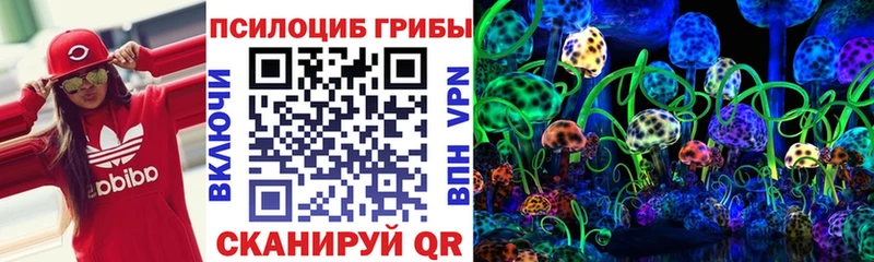Галлюциногенные грибы Psilocybine cubensis  Малаховка 